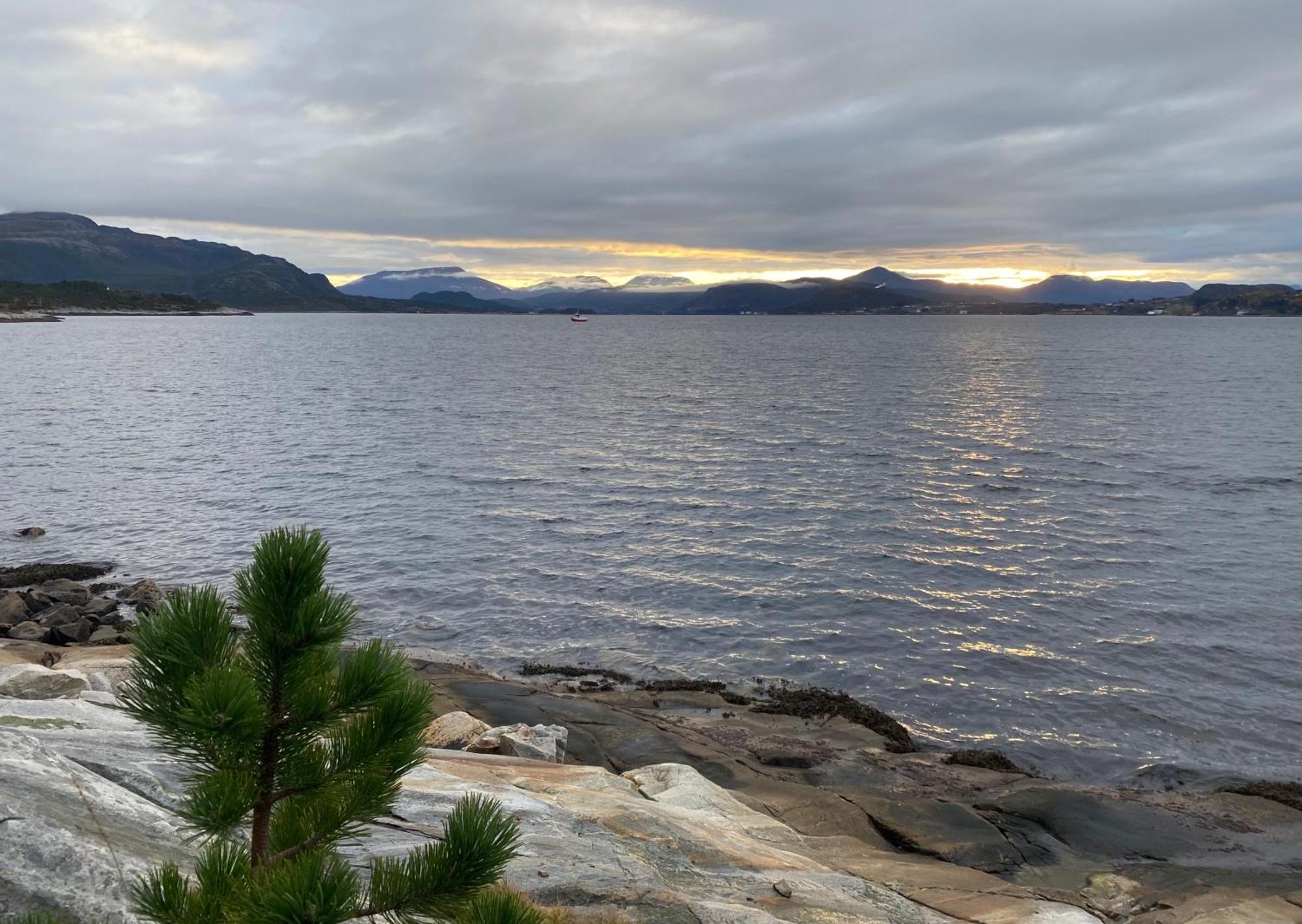 Wake Up To A Beautiful View And Smell Of The Sea Apartment Кристиансун Екстериор снимка